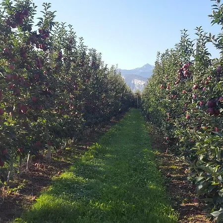 Agritur Clementi