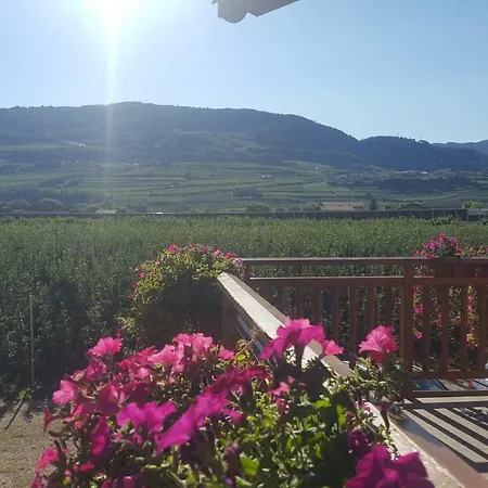 Agritur Clementi *