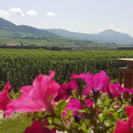 Agritur Clementi *