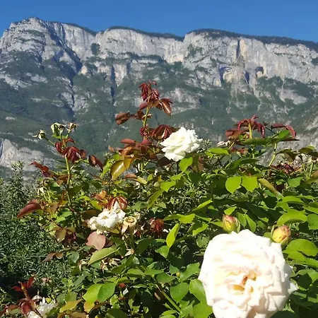 Agroturismo Agritur Clementi Nave San Rocco